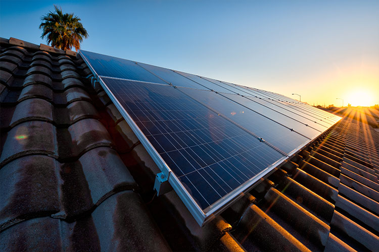 Saving on Solar with Power Camel
