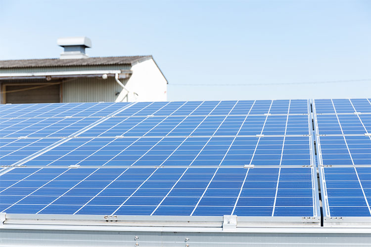 Saving on Solar with Power Camel